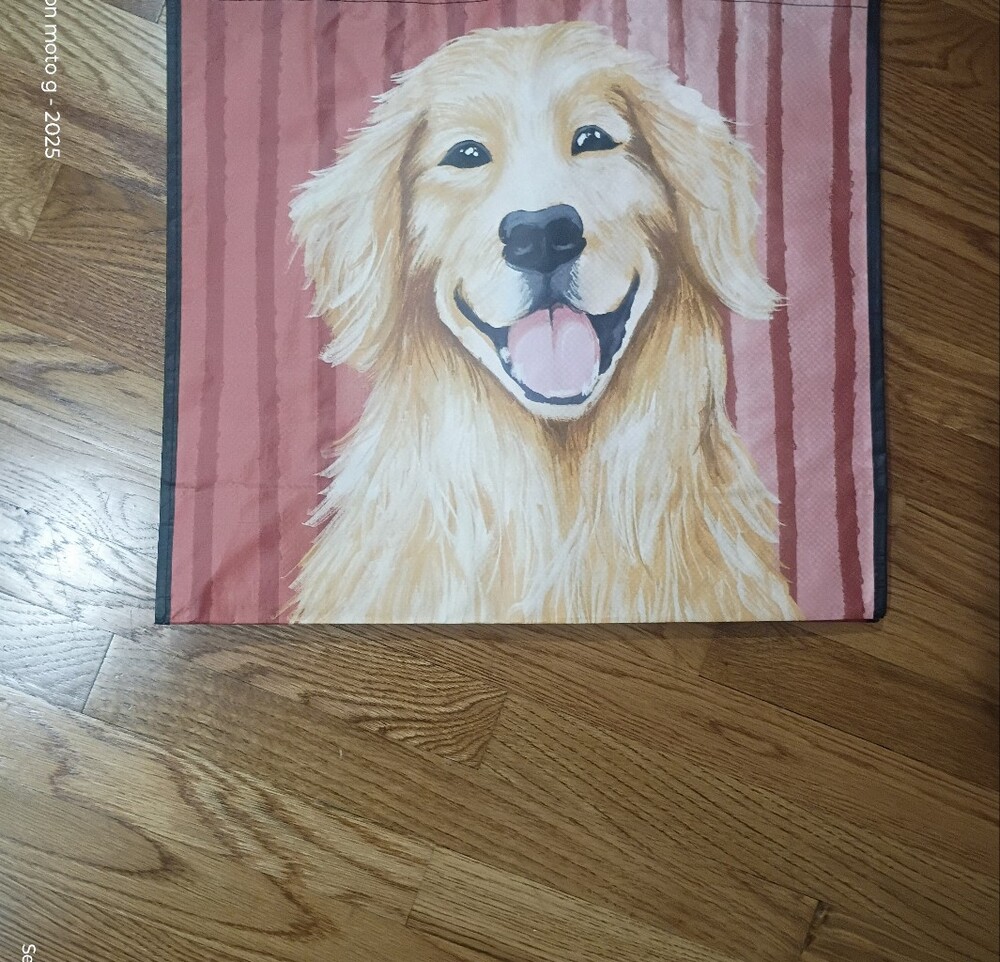 Homegoods TJMaxx Marshalls Viral Golden Retriever Tote Bag NWOT
